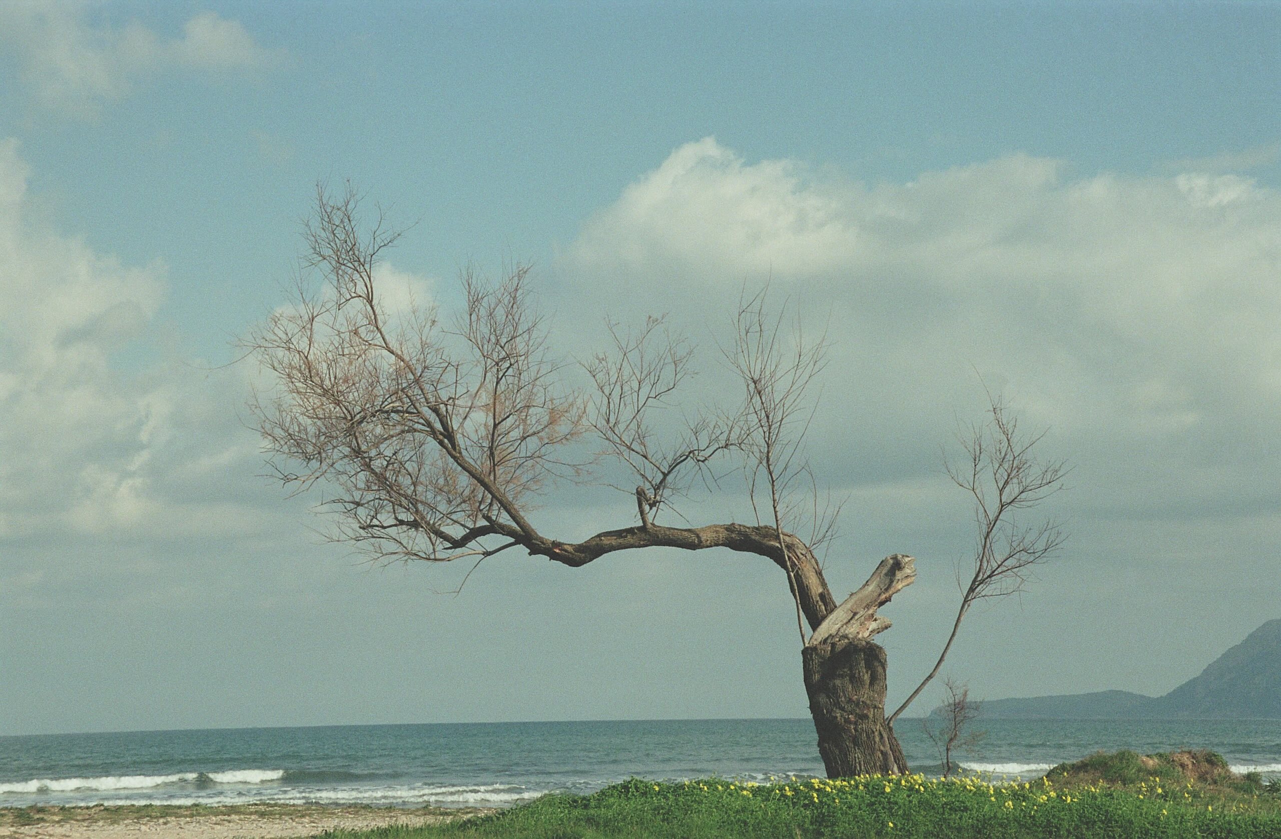 Lifestyle at Bellresguard, Mallorca